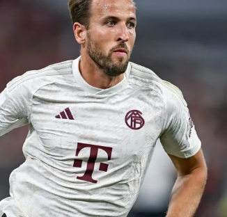 运动领域取 运动领域取