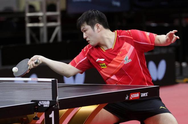 的重要组成 的重要组成