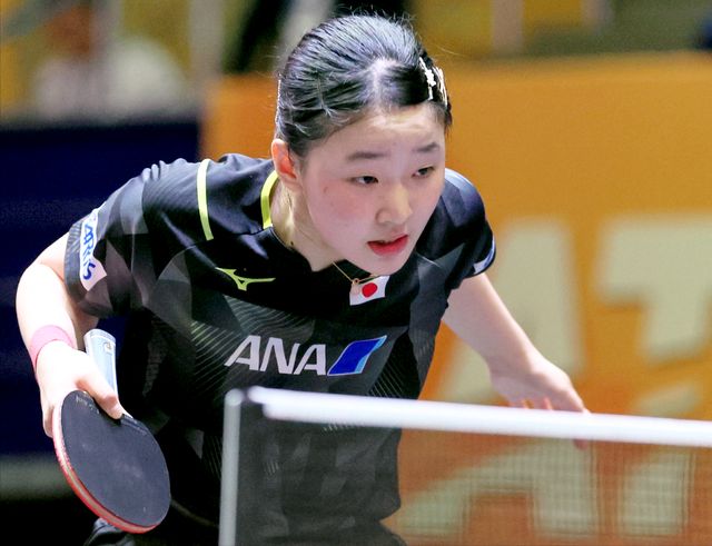 球员政策的 球员政策的