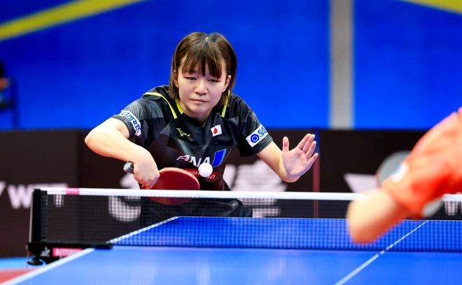 验到体育运 验到体育运