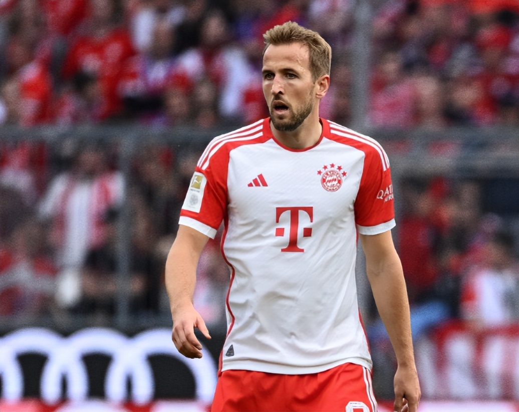 中卫的肋部 中卫的肋部